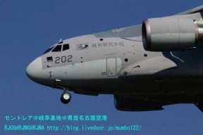 国产亚洲日,聚焦本土影视力量，共赏视听盛宴